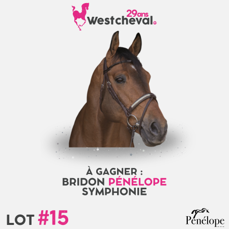 Anniv Mob 15 Pénélope